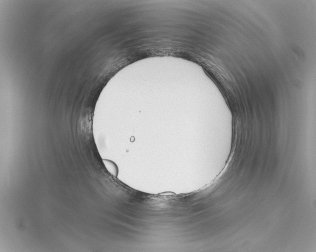 X0000115430190200912020932