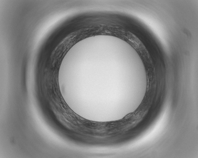 X0000115430191200912020932