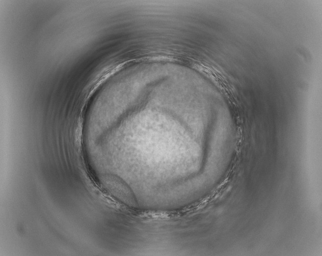 X0000115430194200912020931