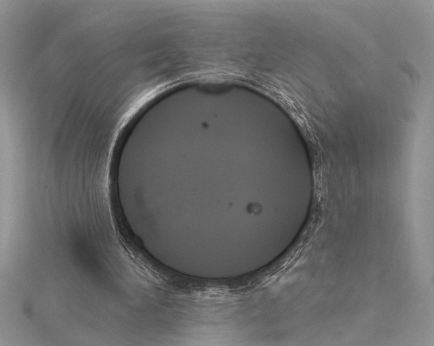 X0000115430196200912020931