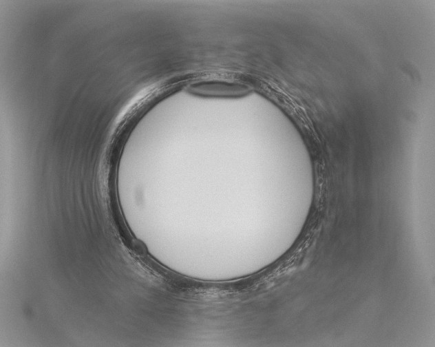 X0000115430197200912020931