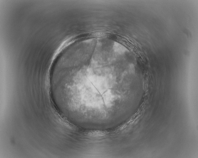 X0000115430198200912020931