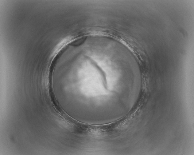 X0000115430199200912020931