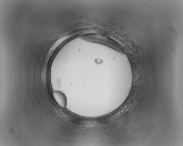 X0000115430200200912020931