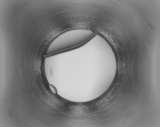 X0000115430201200912020931