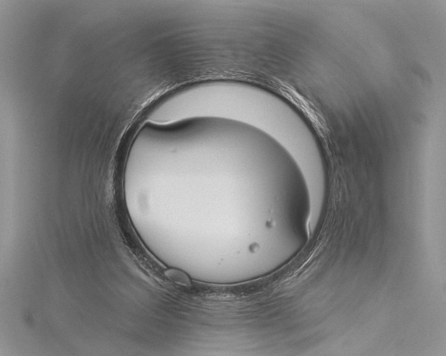 X0000115430203200912020931