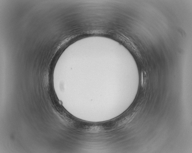 X0000115430204200912020931