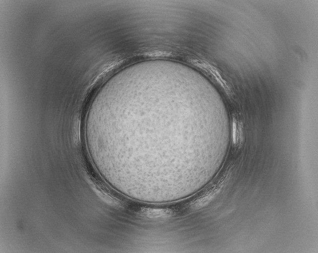 X0000115430205200912020931