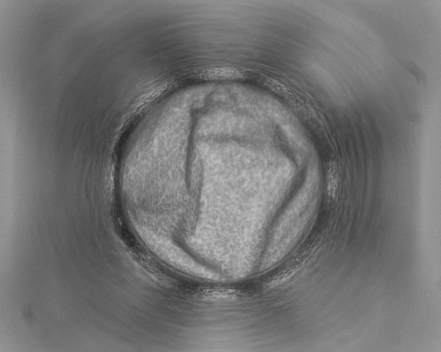 X0000115430206200912020931