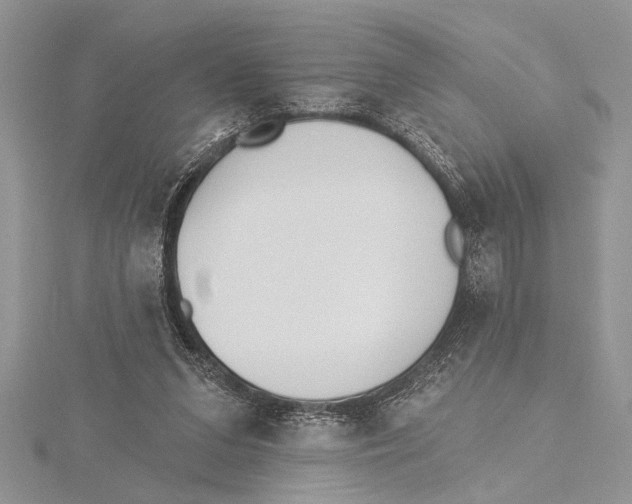 X0000115430207200912020931