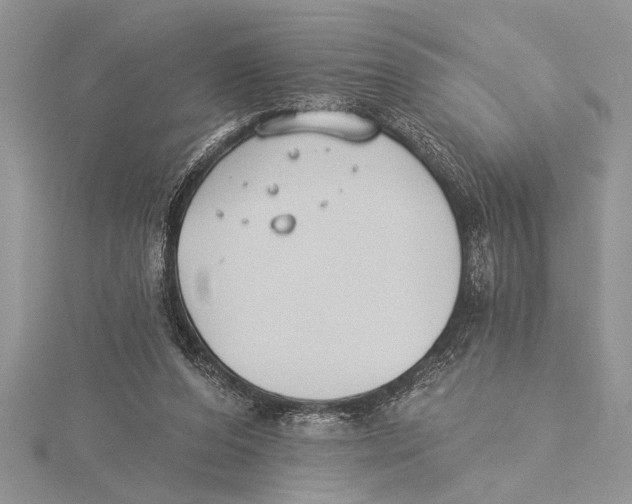 X0000115430208200912020931