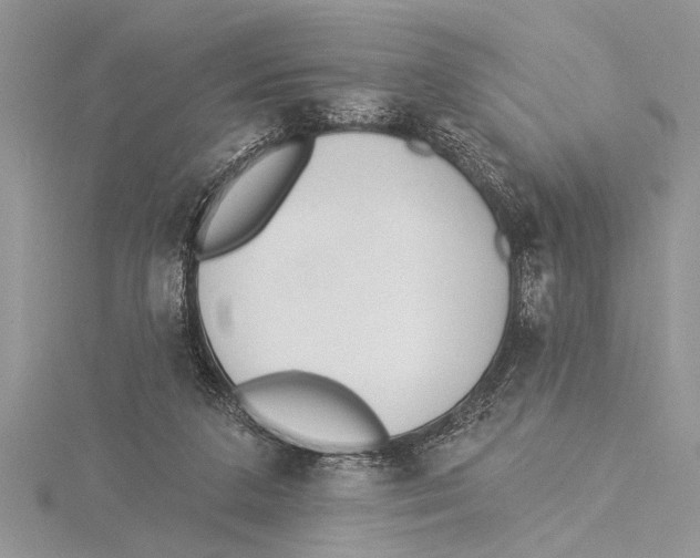 X0000115430211200912020931