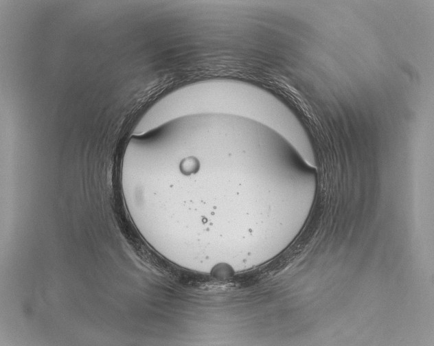 X0000115430213200912020931