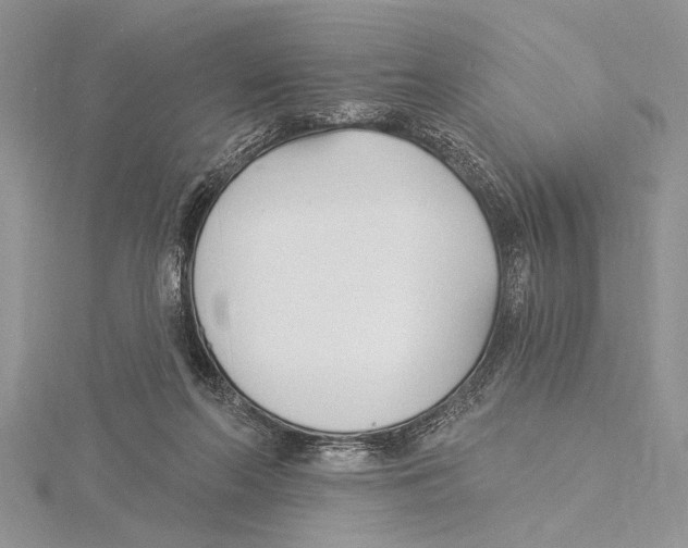 X0000115430214200912020931