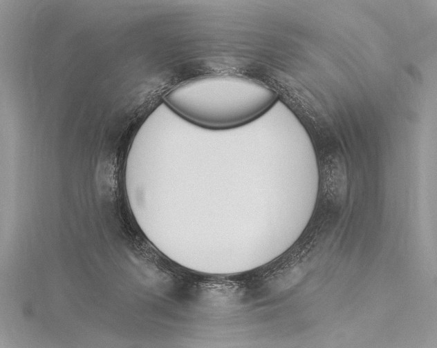 X0000115430215200912020931