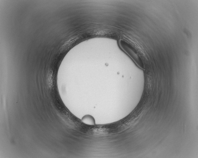 X0000115430216200912020931