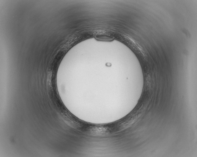 X0000115430217200912020931