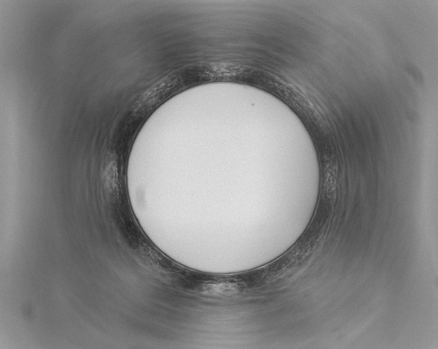 X0000115430220200912020931