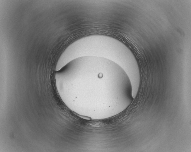 X0000115430221200912020931