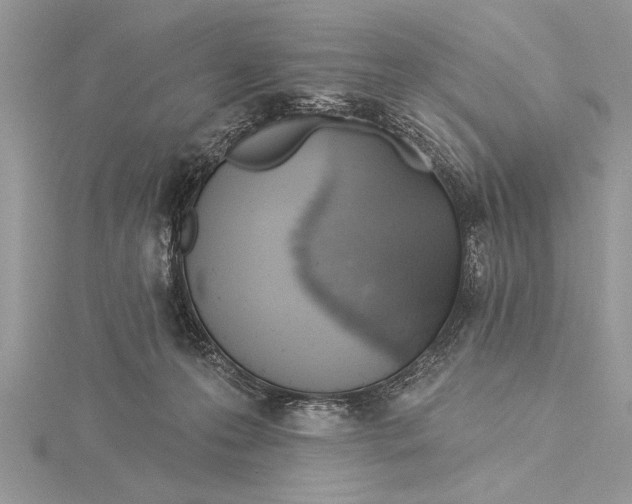 X0000115430223200912020931