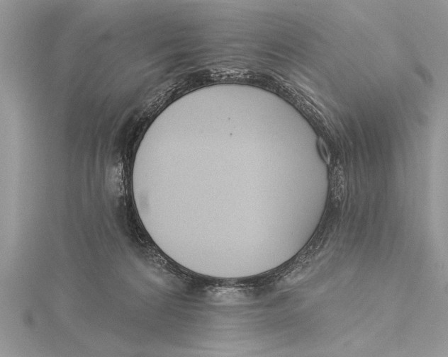 X0000115430224200912020931