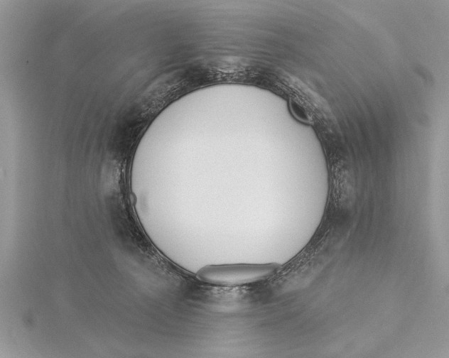 X0000115430225200912020931