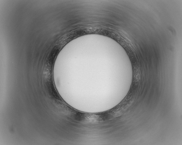 X0000115430226200912020931