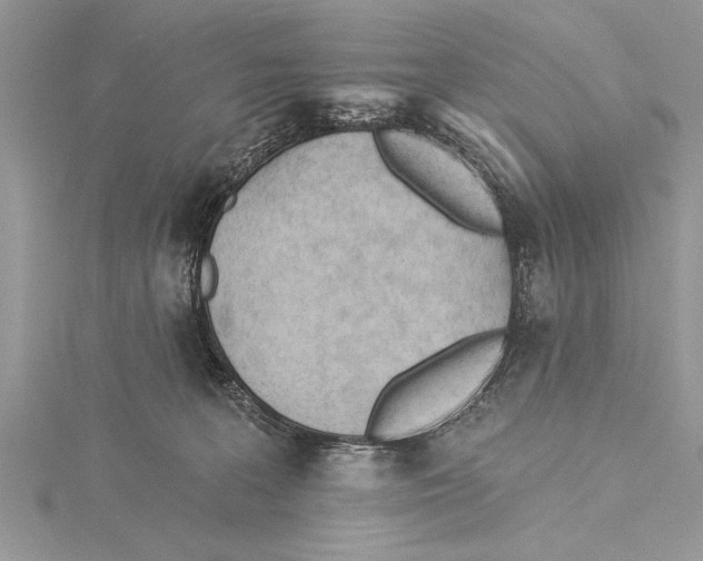 X0000115430227200912020931