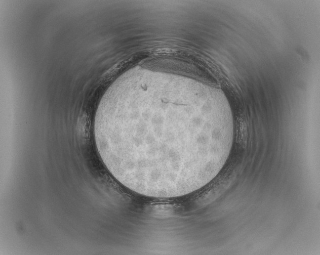 X0000115430228200912020931