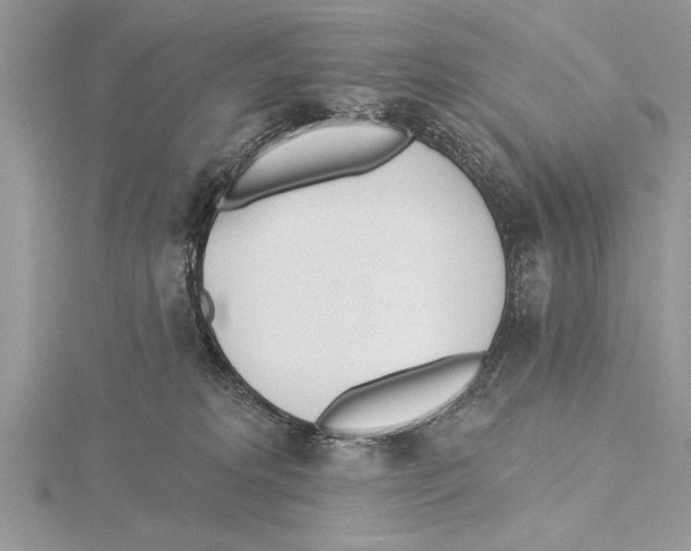 X0000115430229200912020931