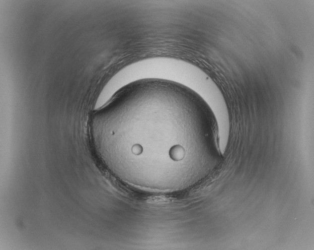 X0000115430231200912020931