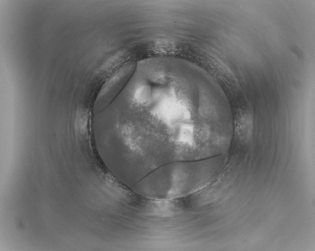 X0000115430233200912020931