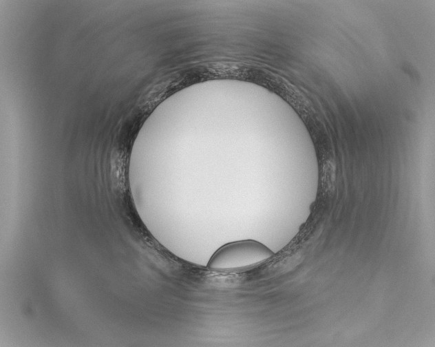 X0000115430234200912020931