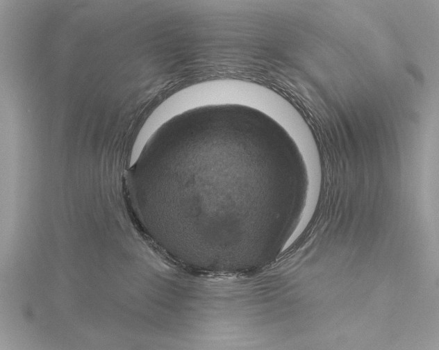 X0000115430235200912020931