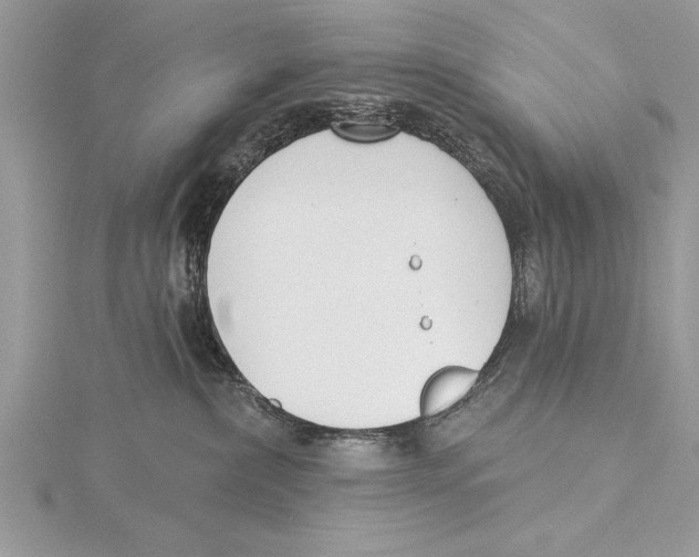 X0000115430236200912020931