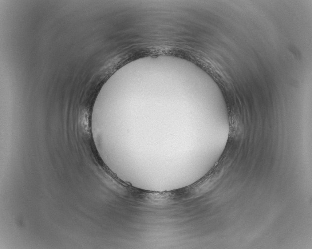 X0000115430238200912020931