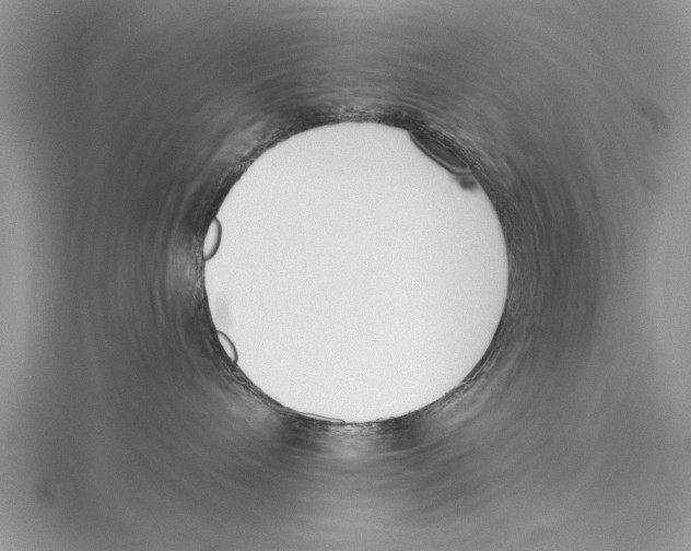 X0000115430240200912020931