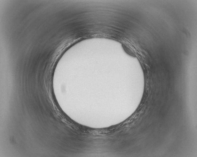 X0000115430241200912020930