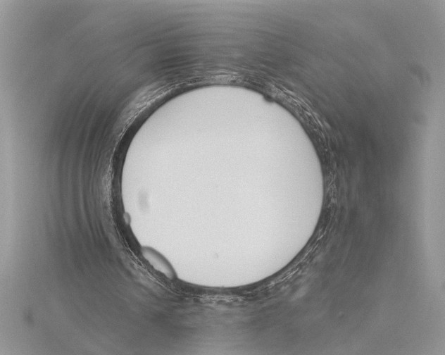 X0000115430242200912020930