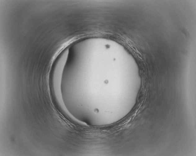 X0000115430244200912020930