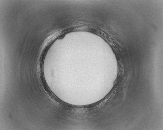 X0000115430245200912020930