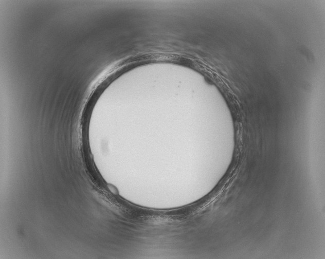 X0000115430246200912020930