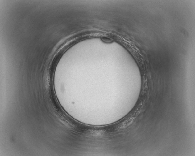 X0000115430247200912020930