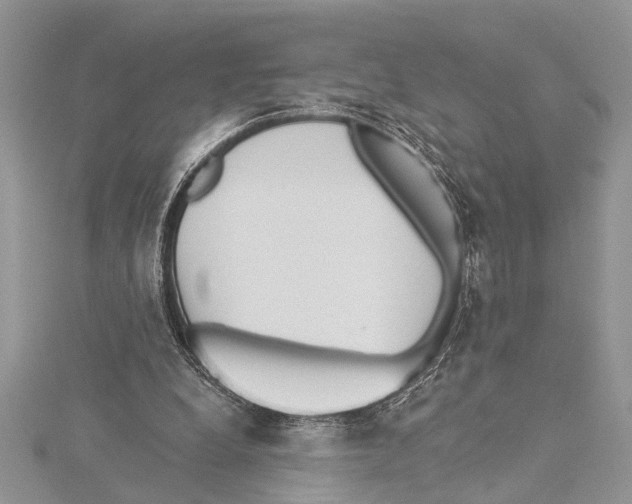 X0000115430248200912020930