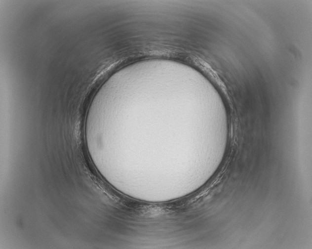 X0000115430249200912020930