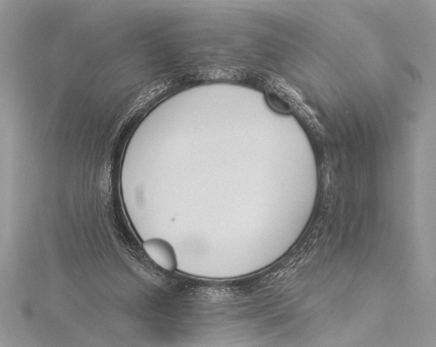 X0000115430250200912020930