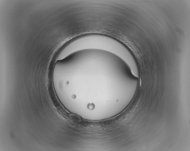 X0000115430252200912020930