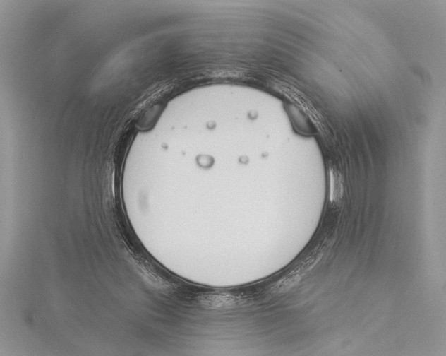 X0000115430253200912020930