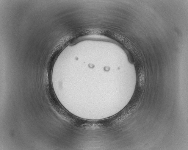 X0000115430254200912020930