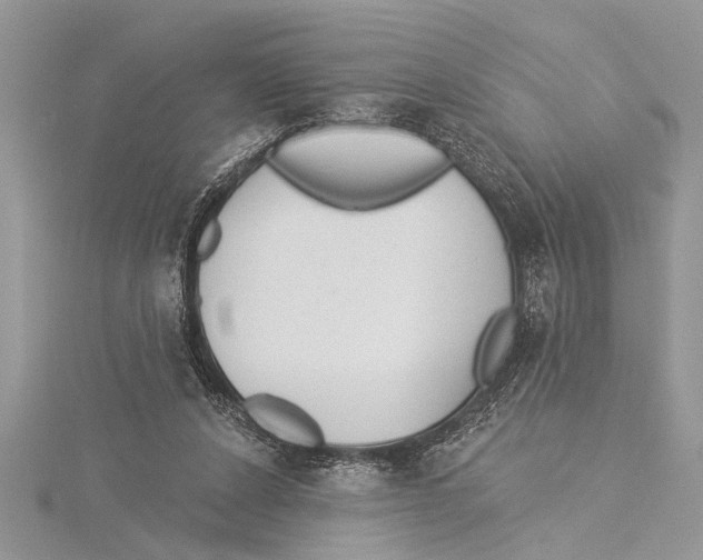 X0000115430256200912020930